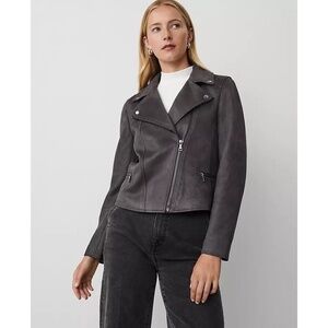 NWT Ann Taylor Faux Suede Moto Jacket in sz Medium